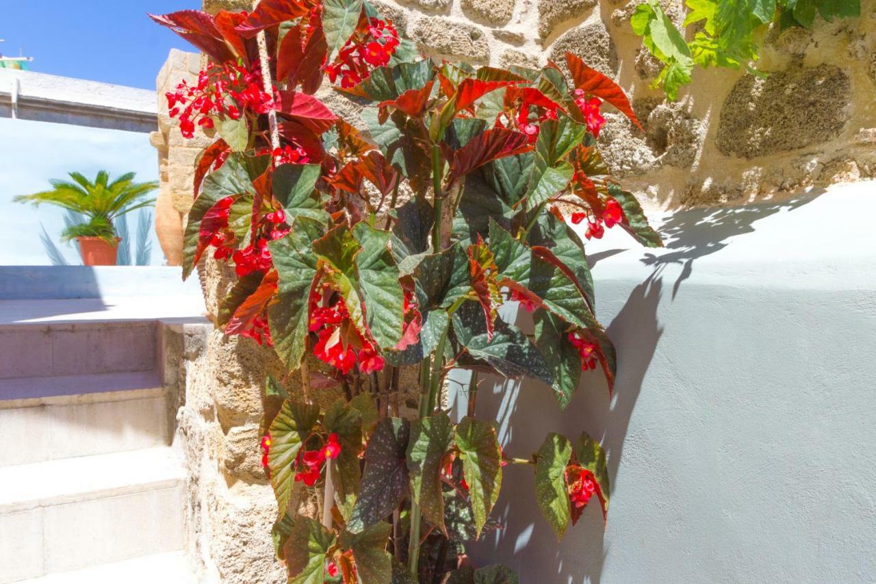 Colours - Old Town - Studios Rhodes City エクステリア 写真